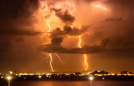 Longevity Bulletin: Issue 17